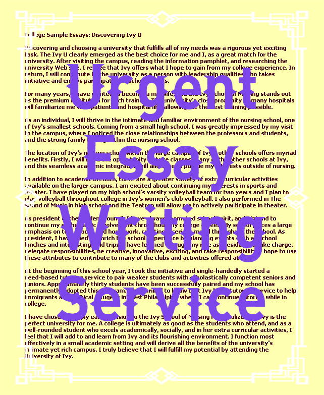 emergency write my essay cheap